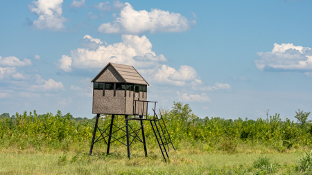 Turnkey Dekalb Texas Hunting Property for Sale Red River Frontage - image 3