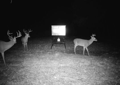 Turnkey Dekalb Texas Hunting Property for Sale Red River Frontage - image 38
