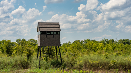Turnkey Dekalb Texas Hunting Property for Sale Red River Frontage - image 2