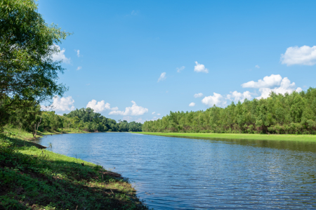 Turnkey Dekalb Texas Hunting Property for Sale Red River Frontage - image 8