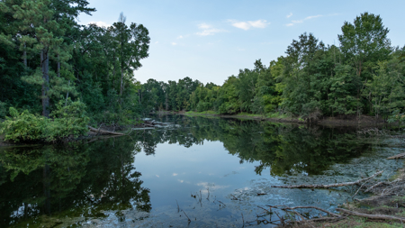 Turnkey Dekalb Texas Hunting Property for Sale Red River Frontage - image 20