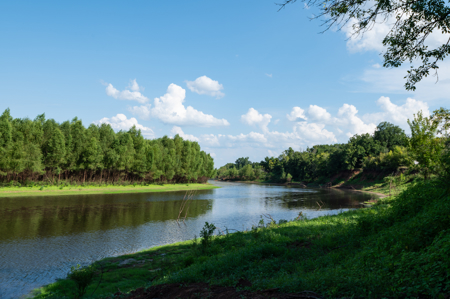 Turnkey Dekalb Texas Hunting Property for Sale Red River Frontage - image 9