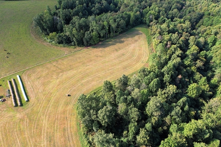 15+/- Acres - Vacant Land - Building Sites - Liberty, Ky. - image 4