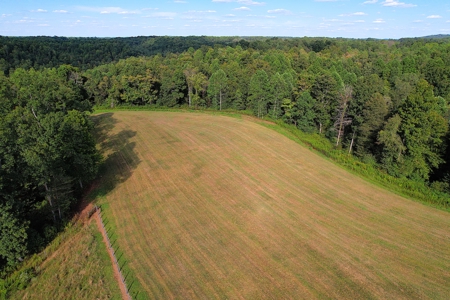 15+/- Acres - Vacant Land - Building Sites - Liberty, Ky. - image 5