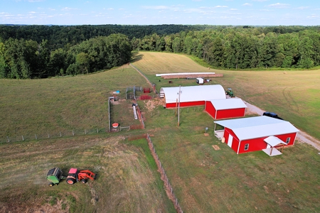 47 Acres W/Home - Garage - Pond - Fencing - Pasutre - Liberty, Ky - image 17