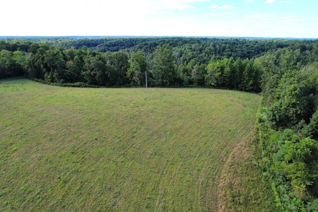 47 Acres W/Home - Garage - Pond - Fencing - Pasutre - Liberty, Ky - image 13