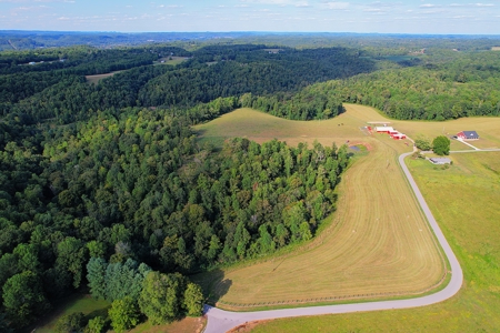 47 Acres W/Home - Garage - Pond - Fencing - Pasutre - Liberty, Ky - image 6