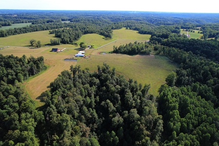 47 Acres W/Home - Garage - Pond - Fencing - Pasutre - Liberty, Ky - image 4
