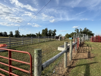 47 Acres W/Home - Garage - Pond - Fencing - Pasutre - Liberty, Ky - image 49