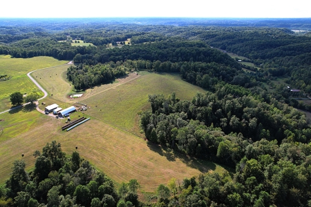 47 Acres W/Home - Garage - Pond - Fencing - Pasutre - Liberty, Ky - image 3