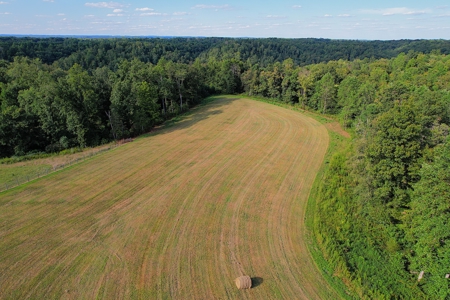 47 Acres W/Home - Garage - Pond - Fencing - Pasutre - Liberty, Ky - image 9