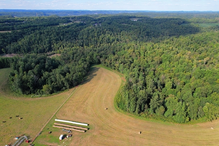 47 Acres W/Home - Garage - Pond - Fencing - Pasutre - Liberty, Ky - image 8