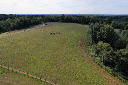 47 Acres W/Home - Garage - Pond - Fencing - Pasutre - Liberty, Ky - image 12
