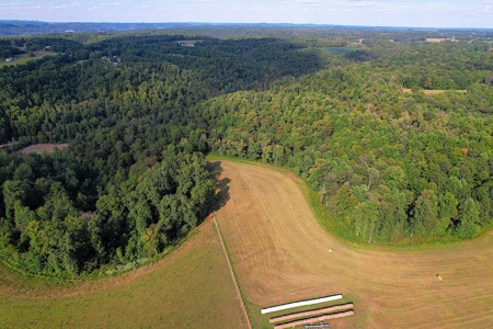 47 Acres W/Home - Garage - Pond - Fencing - Pasutre - Liberty, Ky - image 7