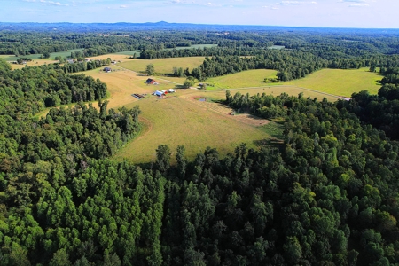 47 Acres W/Home - Garage - Pond - Fencing - Pasutre - Liberty, Ky - image 5