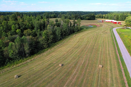 47 Acres W/Home - Garage - Pond - Fencing - Pasutre - Liberty, Ky - image 16