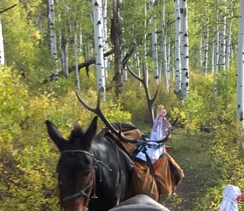 West Colorado Outfitting Business for Sale(NO Deeded property) - image 24