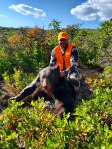 West Colorado Outfitting Business for Sale(NO Deeded property) - image 21