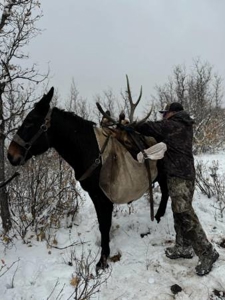 West Colorado Outfitting Business for Sale(NO Deeded property) - image 8