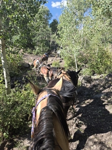 West Colorado Outfitting Business for Sale(NO Deeded property) - image 9