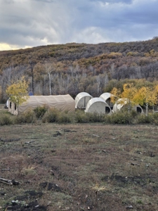 West Colorado Outfitting Business for Sale(NO Deeded property) - image 36