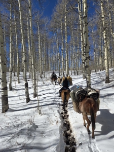 West Colorado Outfitting Business for Sale(NO Deeded property) - image 6