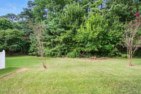 Home For Sale In Edenton North Carolina - image 33