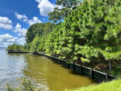Land For Sale In Hertford North Carolina - image 6