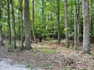 Land For Sale In Hertford North Carolina - image 4
