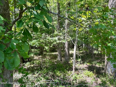 Land For Sale In Hertford North Carolina - image 3
