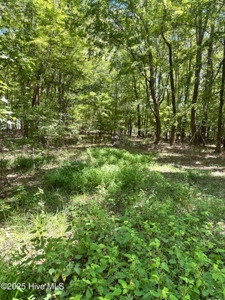 Land For Sale In Hertford North Carolina - image 5