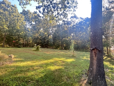 Horseshoe Bend AR Home For Sale - image 18