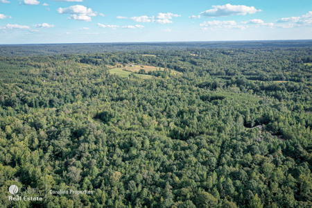 Home and 16 Acres For Sale in Reidsville NC - image 32