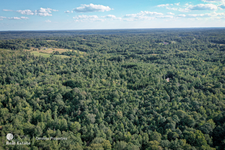 Home and 16 Acres For Sale in Reidsville NC - image 33