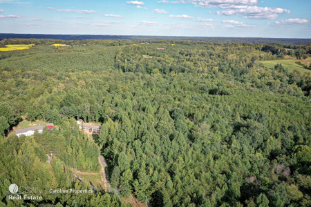 Home and 16 Acres For Sale in Reidsville NC - image 24