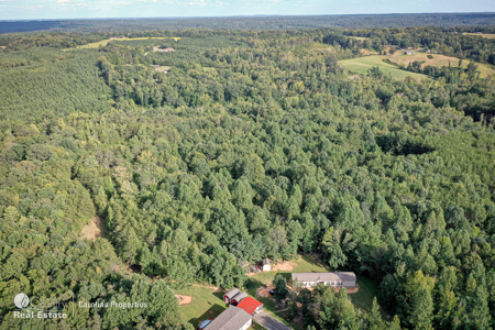 Home and 16 Acres For Sale in Reidsville NC - image 31