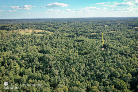 Home and 16 Acres For Sale in Reidsville NC - image 29