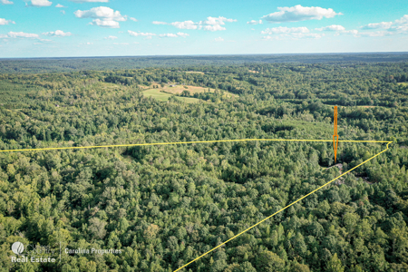 Home and 16 Acres For Sale in Reidsville NC - image 28