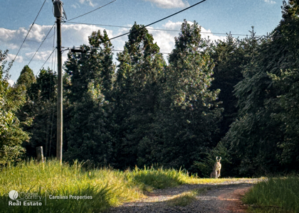 Home and 16 Acres For Sale in Reidsville NC - image 22