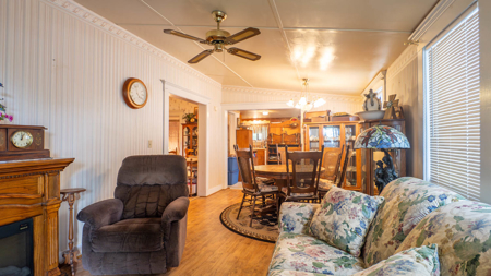 Vintage 1892 Home in Town in the Arkansas Ozarks - image 35