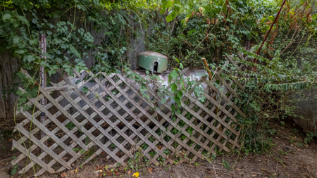 Vintage 1892 Home in Town in the Arkansas Ozarks - image 45