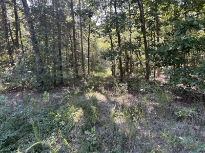 Vacant Wooded Acreage for sale in Missouri - image 6