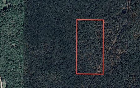 Vacant Wooded Acreage for sale in Missouri - image 1