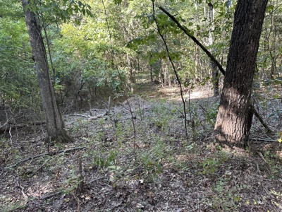 Vacant Wooded Acreage for sale in Missouri - image 4