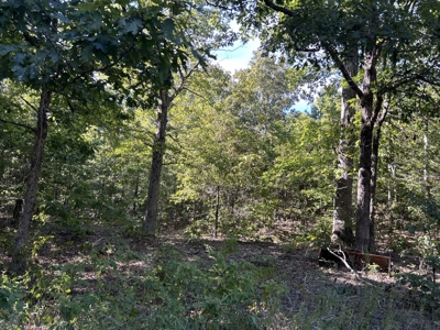 Vacant Wooded Acreage for sale in Missouri - image 9