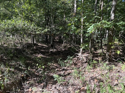 Vacant Wooded Acreage for sale in Missouri - image 5