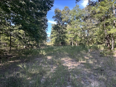 Vacant Wooded Acreage for sale in Missouri - image 7