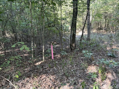 Vacant Wooded Acreage for sale in Missouri - image 3