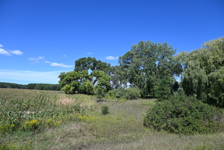 26.6 Acres on a Paved Road in Isabella County MI - image 6