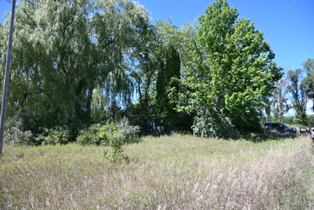 26.6 Acres on a Paved Road in Isabella County MI - image 5